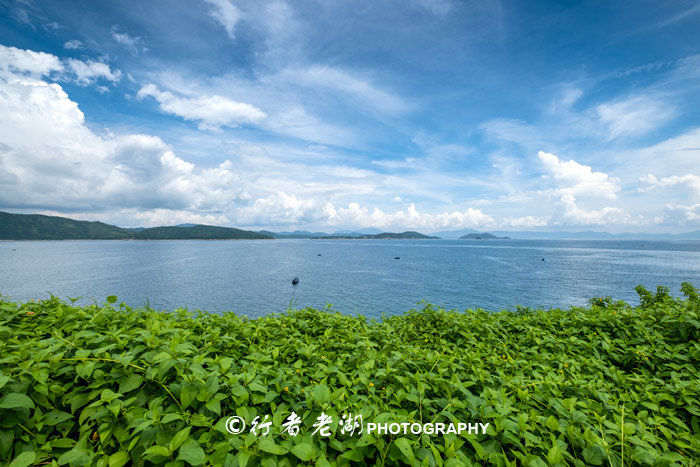 这个荒岛超多海胆和鲍鱼,但不能抓只能看,登岛还必须入境香港