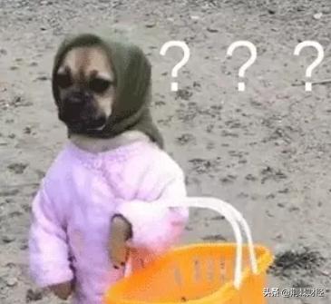 抢卫生纸抢疯啦,日本人抢卫生纸视频