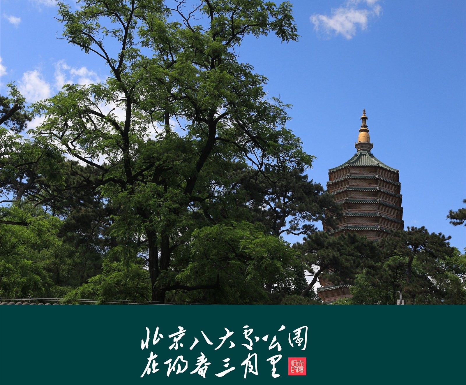 四川女排,四川女排国字号