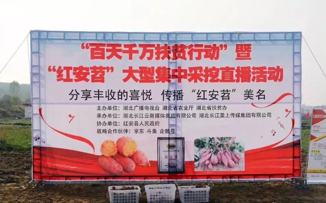 这么多大佬来到垄上频道,原来是那个差点成了雷军第二的人,终于有了大动作!