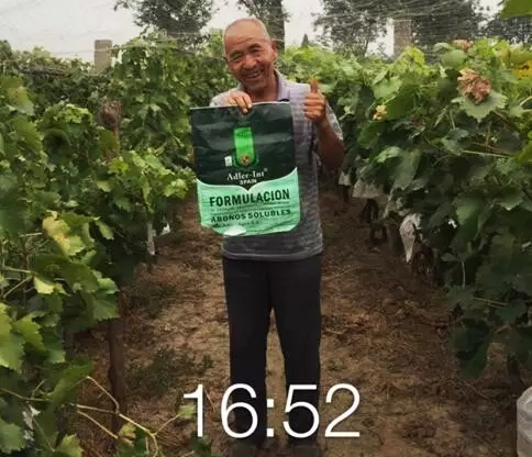 爱农服务一切为农,爱农懂农为农服务