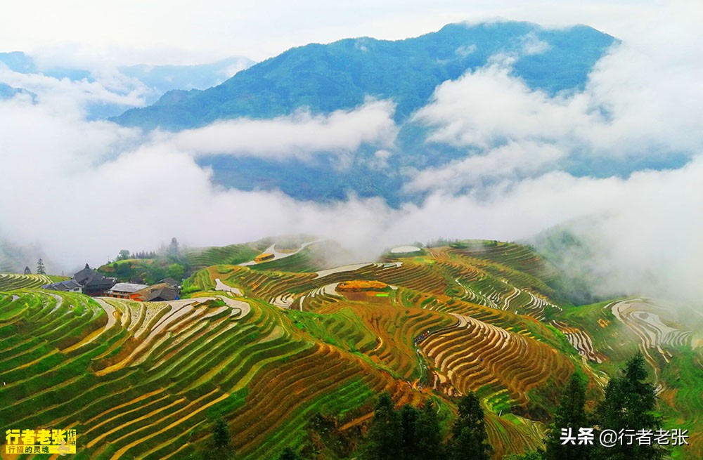 8天长假去哪里便宜点,8天长假去哪里旅游最好
