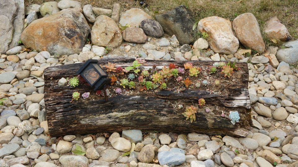 疫情过后娱乐行业重创,疫情过后旅游业的反弹