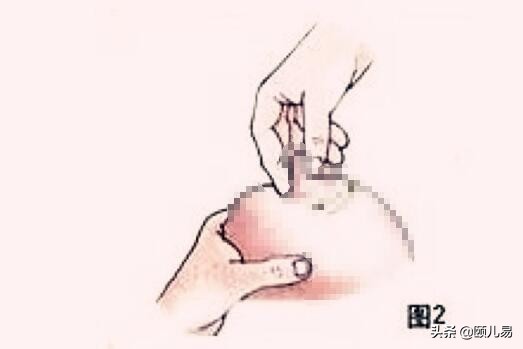 怎么样催奶按摩手法图,催奶按摩正确手法的视频