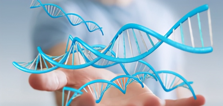 肠息肉0.5厘米是观察好还是切除好,查出肠息肉是不是必须切除