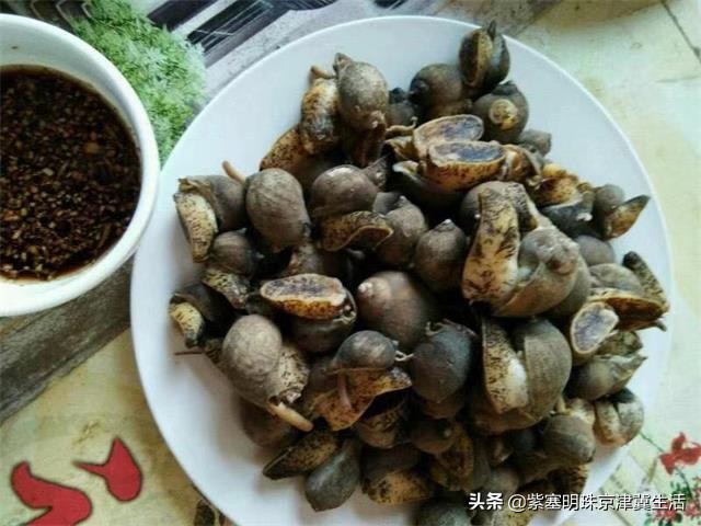 大钦岛旅游渔家乐,夏天最美的海边风景