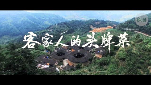 客语的盐焗鸡好吃吗,客语古法盐焗鸡