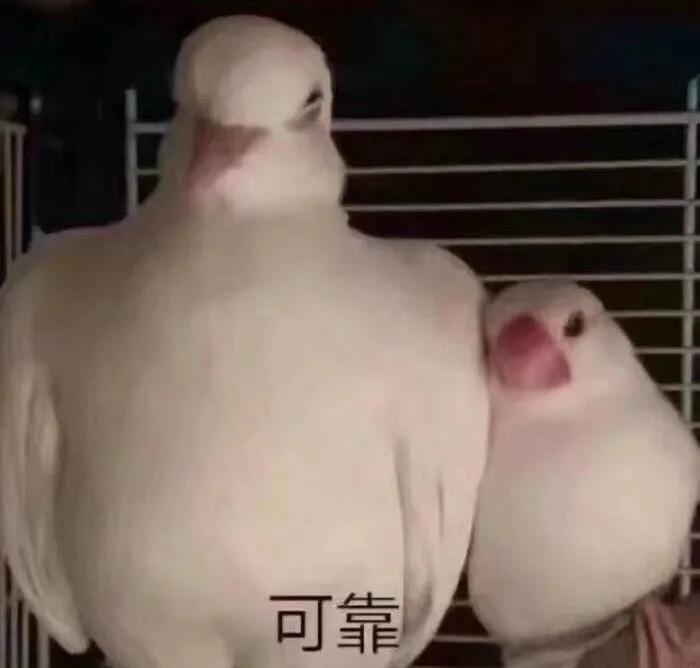 坚持做这五件事你的运气会更好,坚持做这些事就能变美