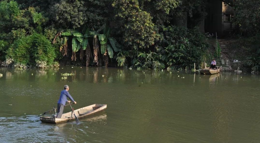 流传千年的风味,那一抹不变幻的甜,是莆田人心头好