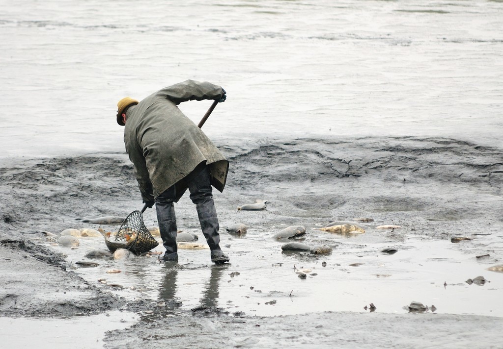 作文修辞的最佳方法,作文引用修辞方法
