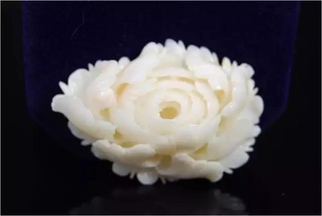 珊瑚越戴越红越好吗,戴珊瑚需要注意什么