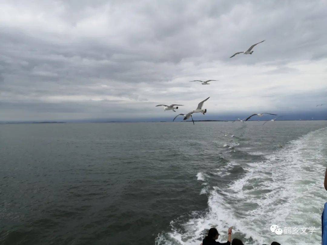 郑景川的作品,郑景川