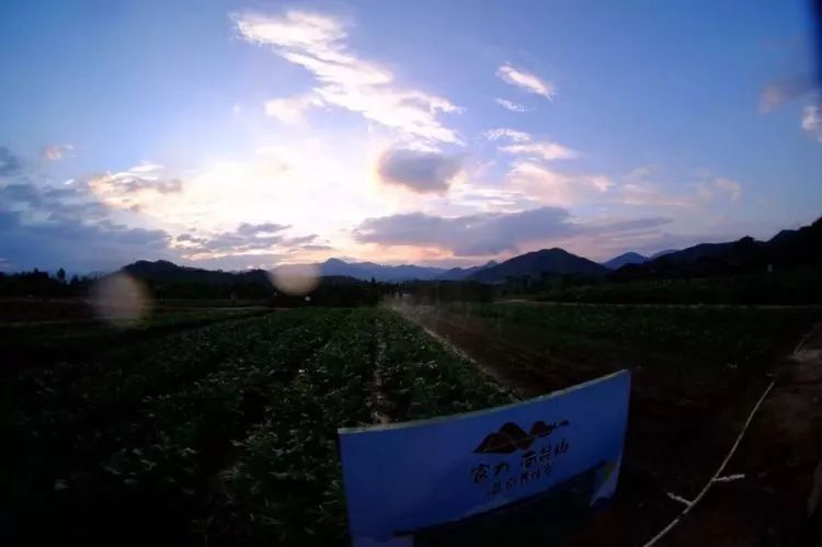 南昆山南国避暑天堂图片,藏在南昆山里的避暑胜地