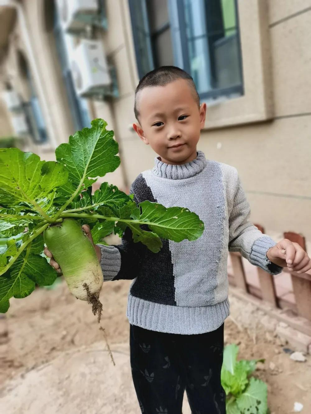 高新区汇爱国际幼稚园,高新区汇爱幼稚园的日常生活