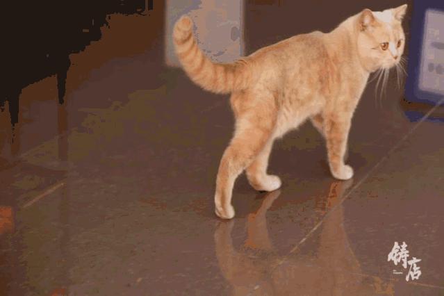 开一家丽枫酒店要投资多少钱,开一家酒店需要投资多少钱