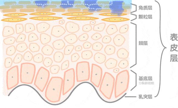 蔡依林皮肤特护霜,蔡依林胶原蛋白粉保养皮肤