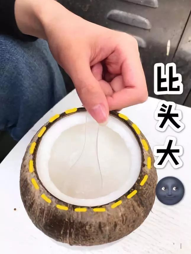 想见你，广州的50种甜