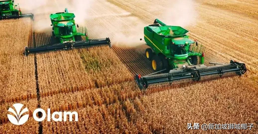 新加坡前十公司,新加坡十大公司排行榜