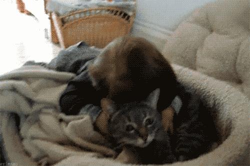 天津和平区公立幼儿园,天津和平区公立初中