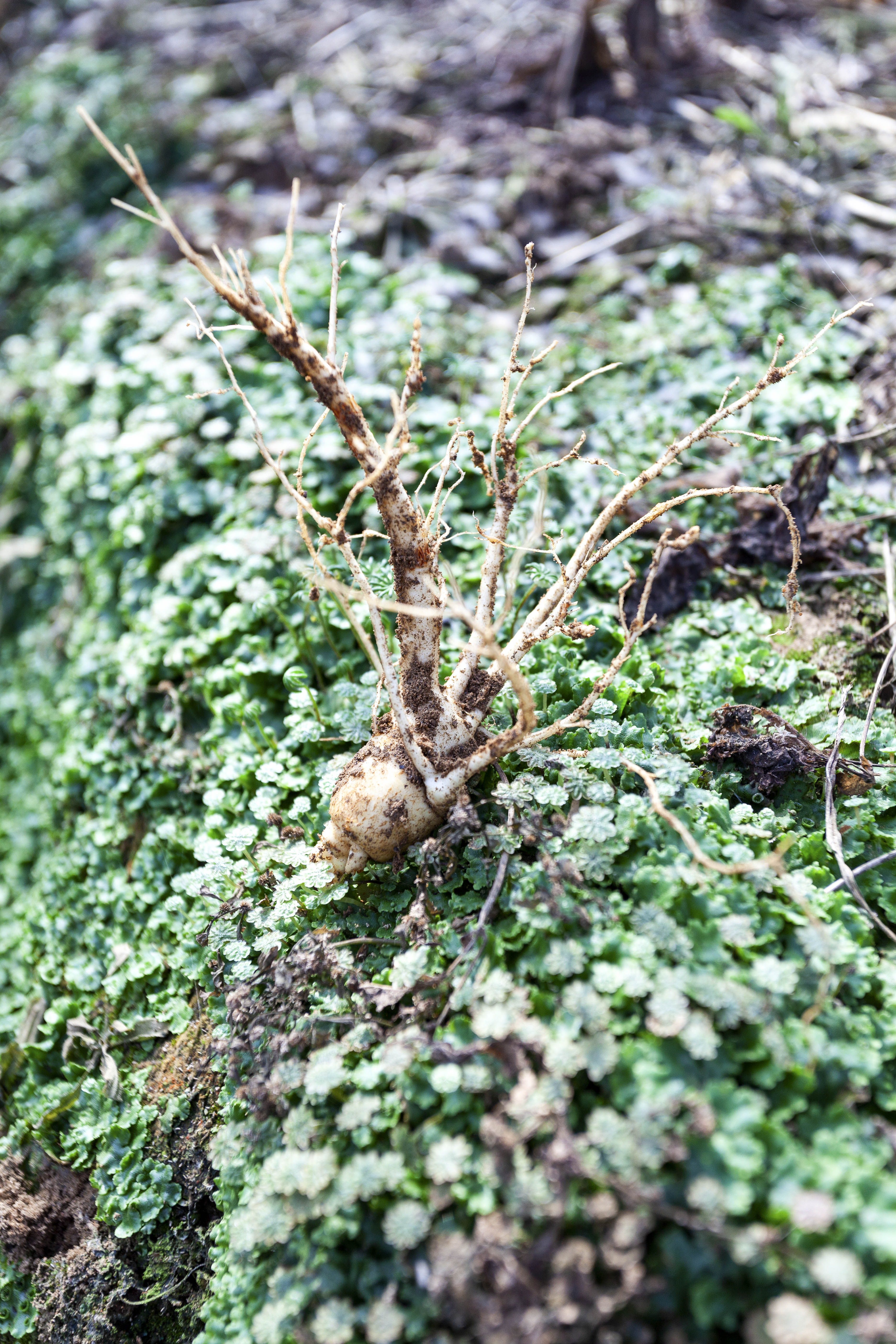 行走在乡村的感悟,行走在乡间感悟