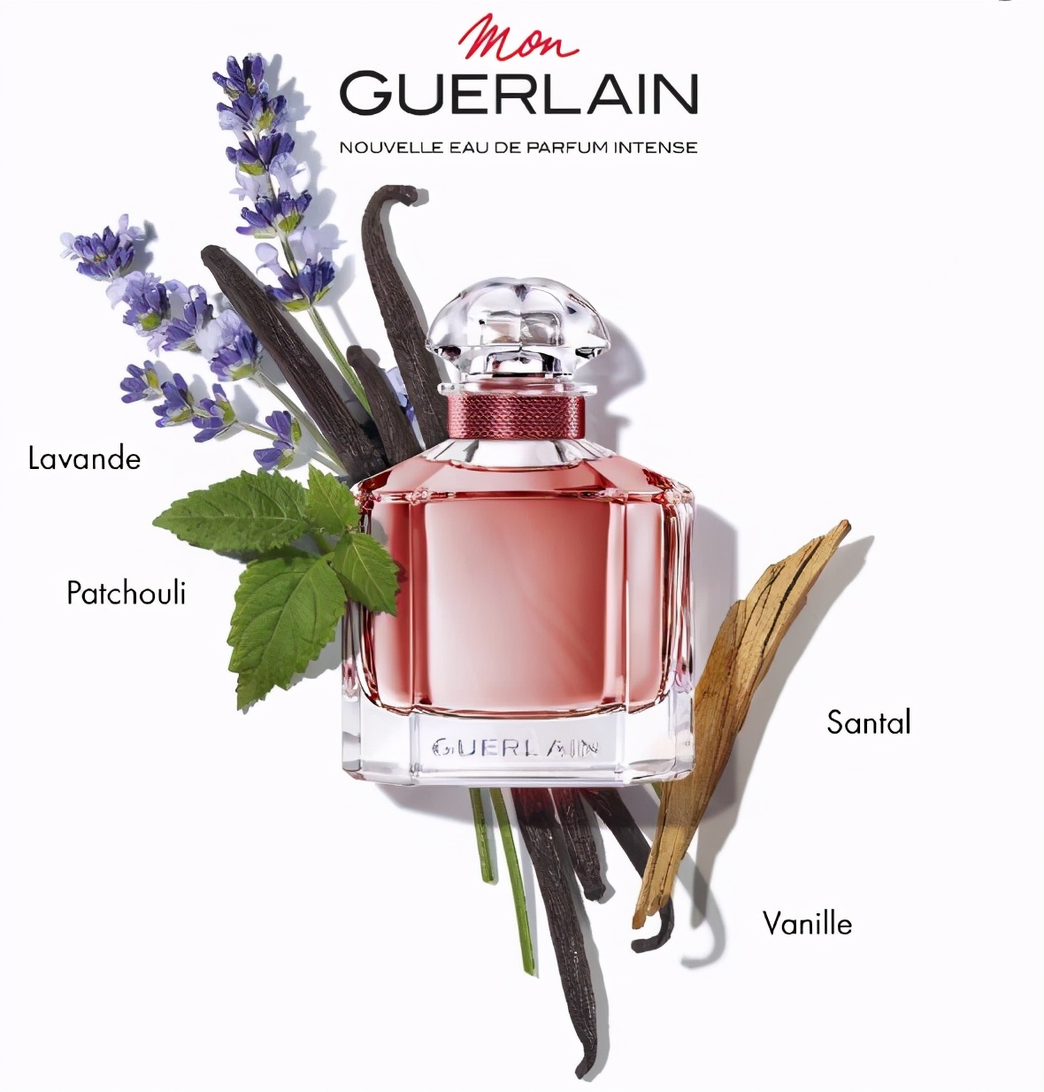 香味持久好闻的女士香水排行榜,最好闻的女士花香味道香水