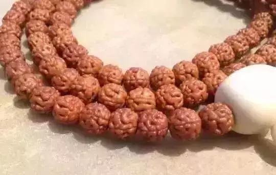 金刚菩提万元,金刚菩提怎么提升价值