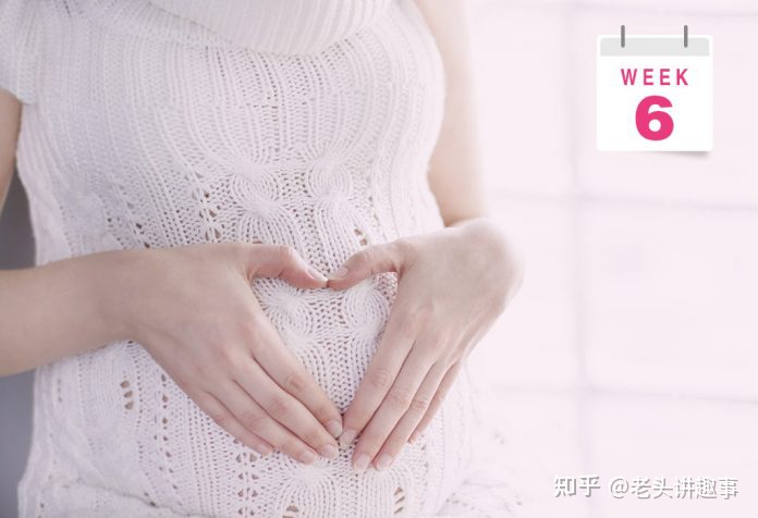 1-40周胎儿发育视频3d,胎儿1-40周发育全过程图解