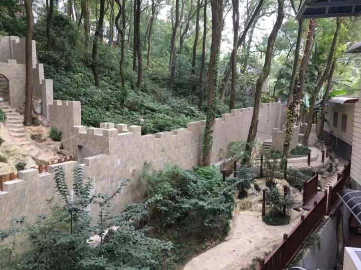 4.13重庆逐梦歌乐山上的“巴学园”探索“世界级乡村幼儿园