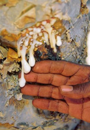 精油为什么不适合自己,精油为什么对情绪有帮助