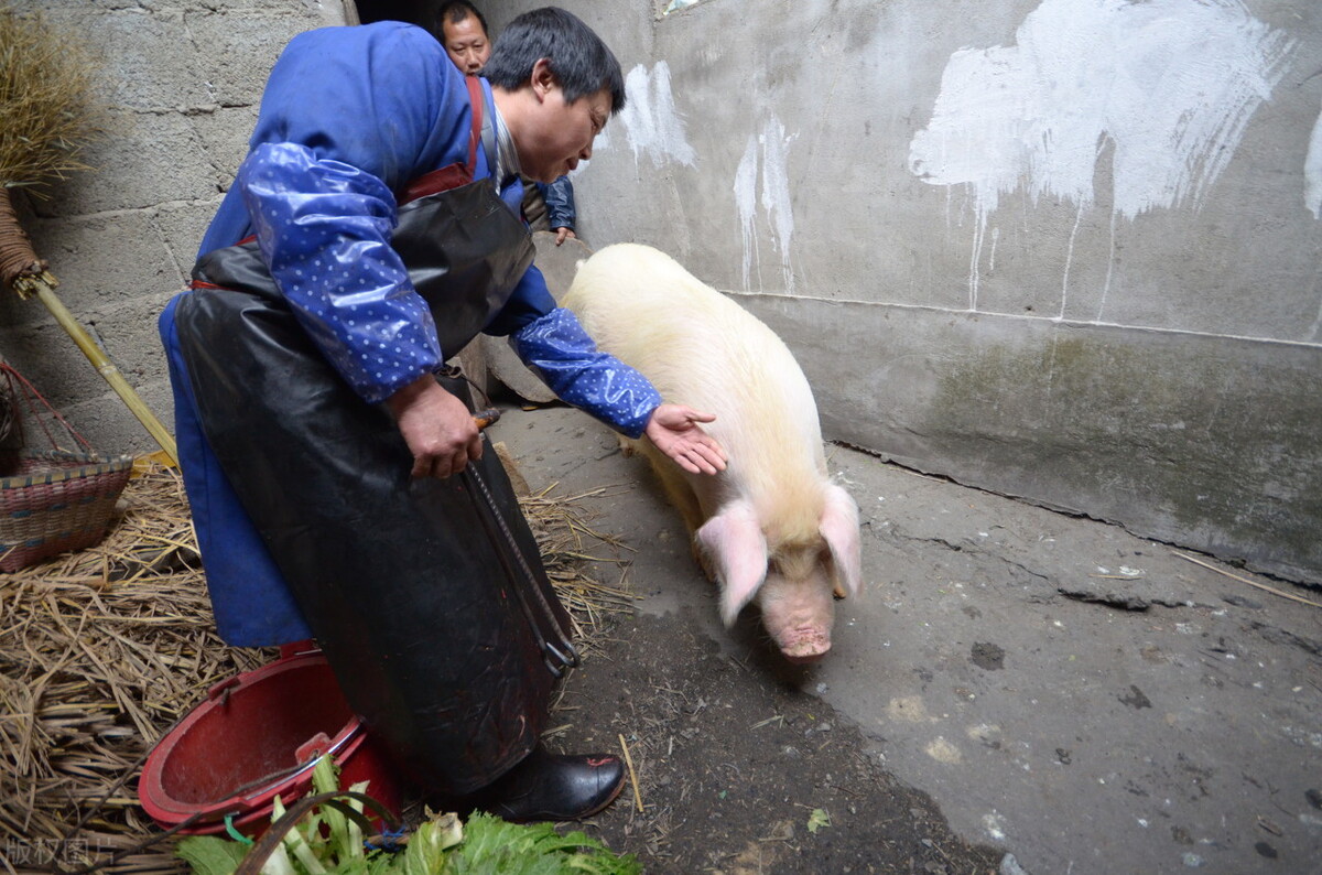 乡村童年回忆杀,乡村回忆往事