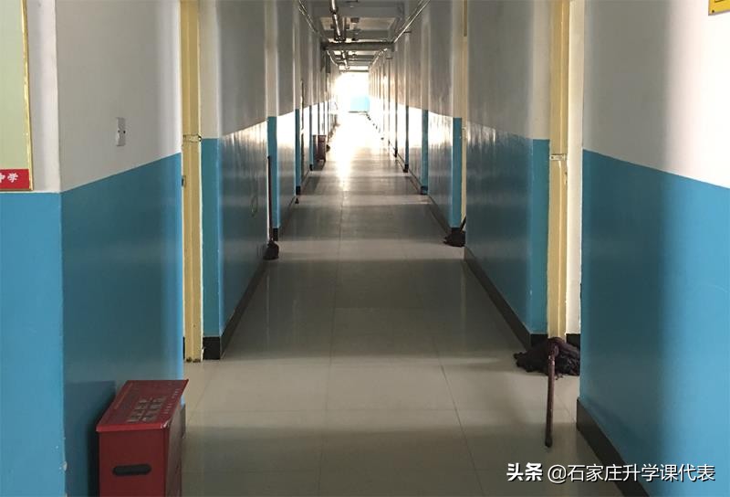 精英中学喜报2020,精英未来初中部升学率