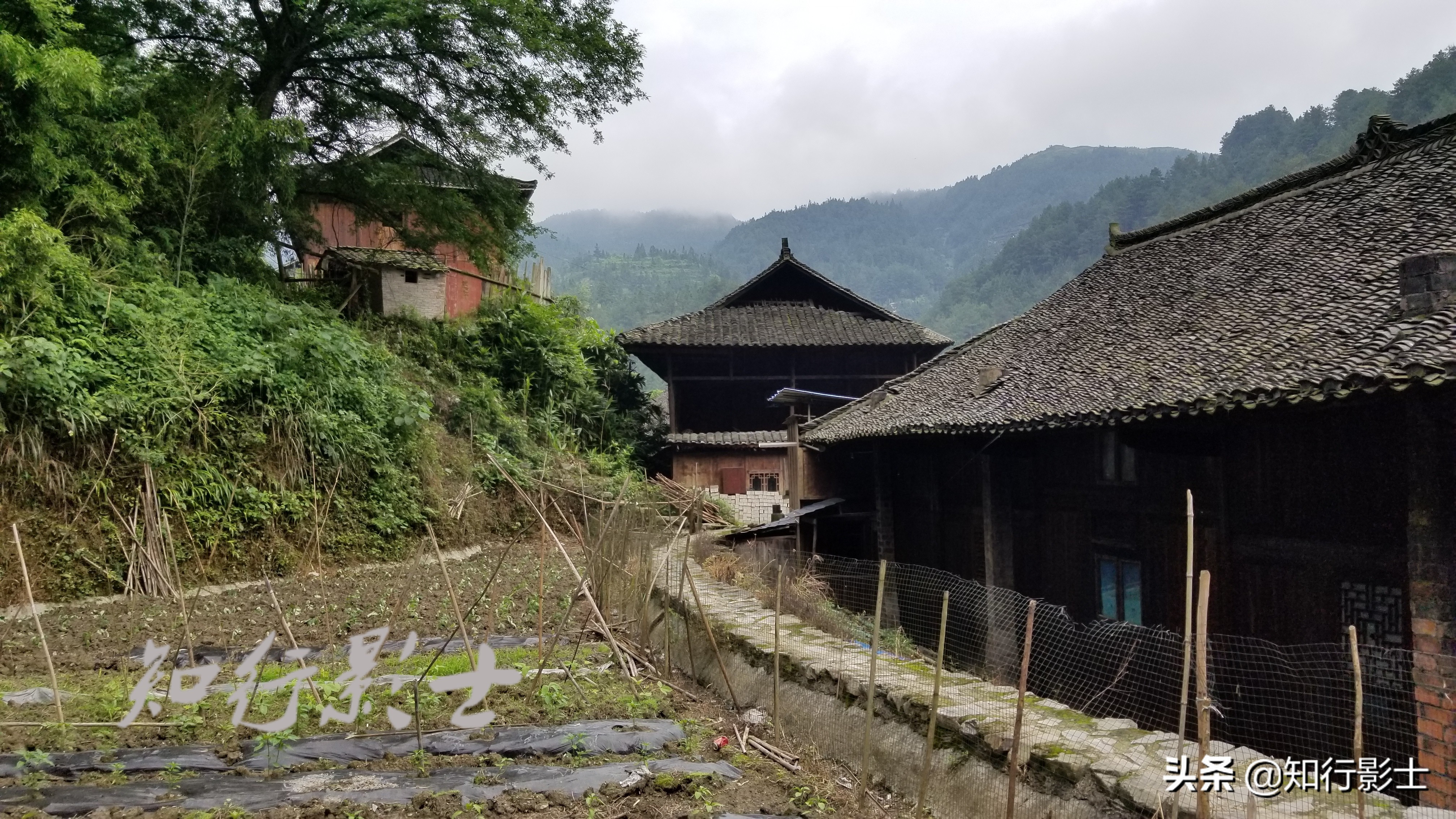 我对旅游的看法,贵州自驾游真实感受