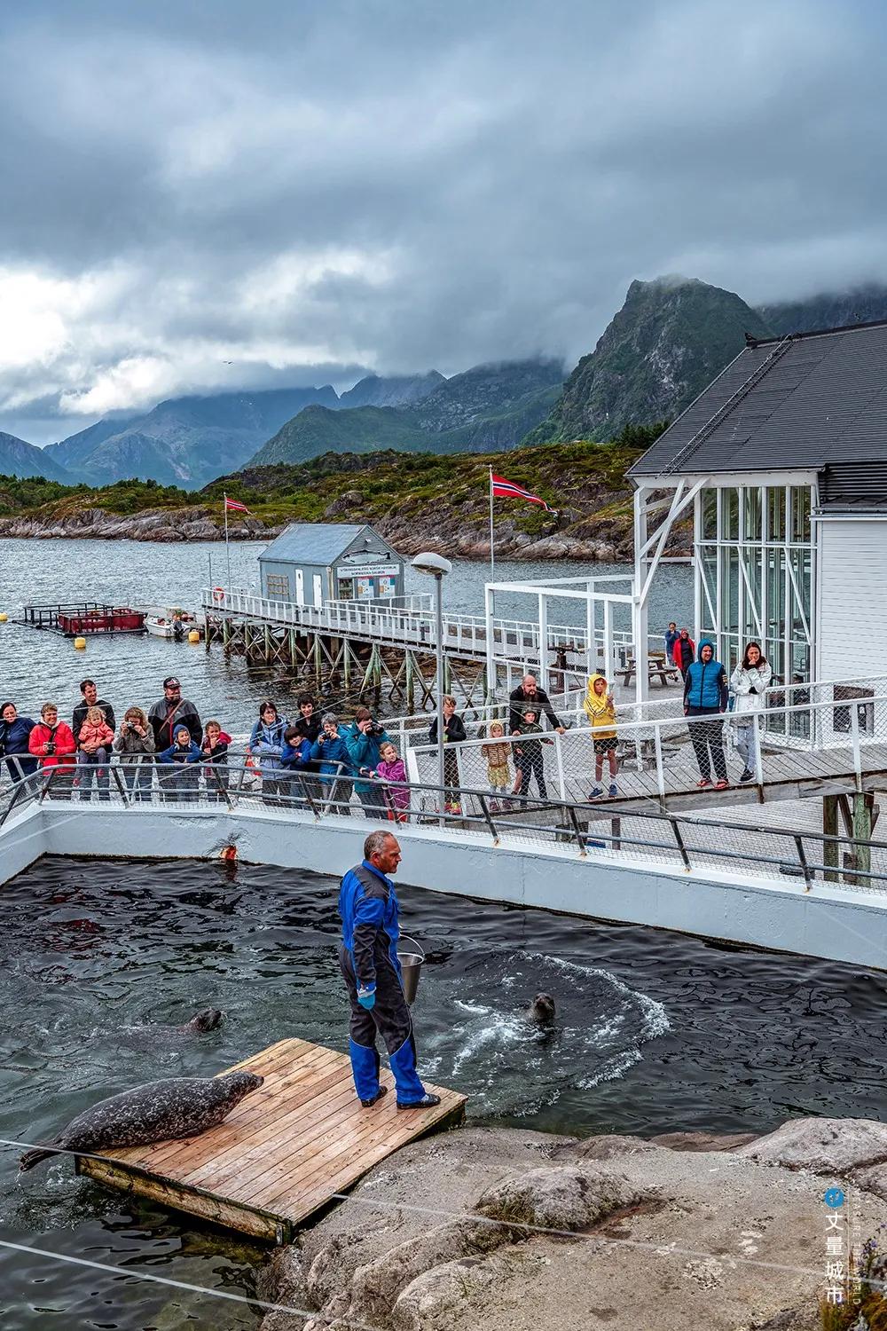 维京遇到全域旅游,美丽乡村、特色小镇一网打尽:挪威渔业史漫步