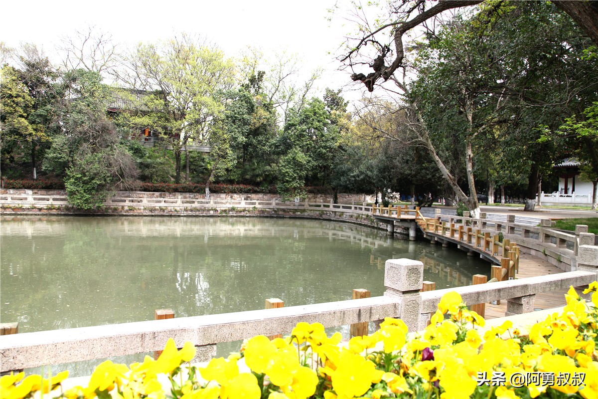 全国百强高中苏州有几个,苏州实验中学科技城校区