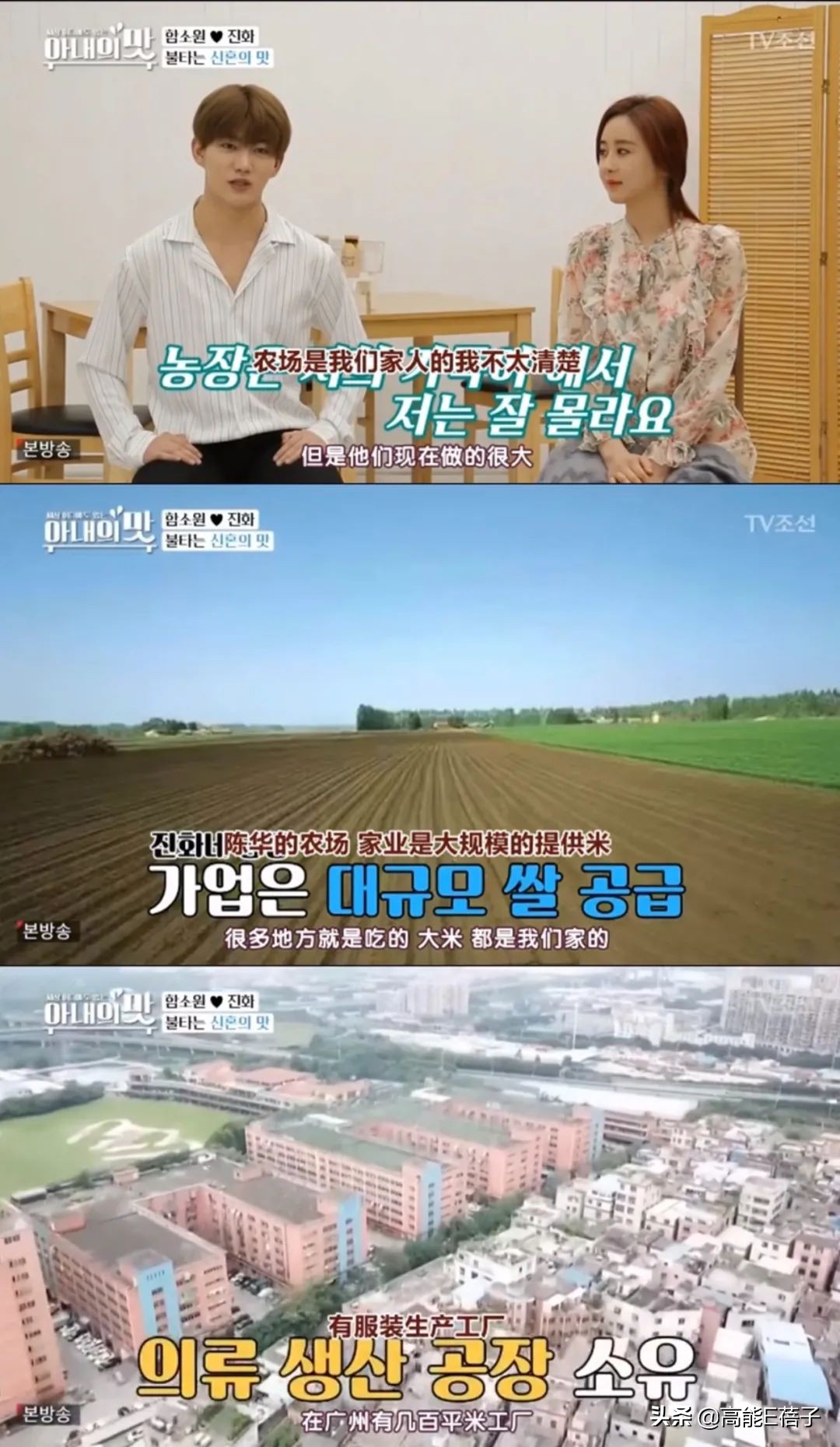 超级奇葩的一家,这一家人到底有多奇葩