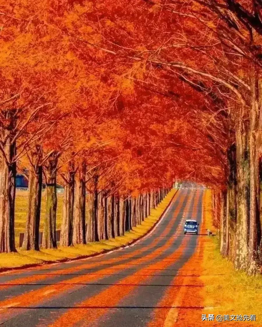 秋天到家乡,秋天在我身边走过