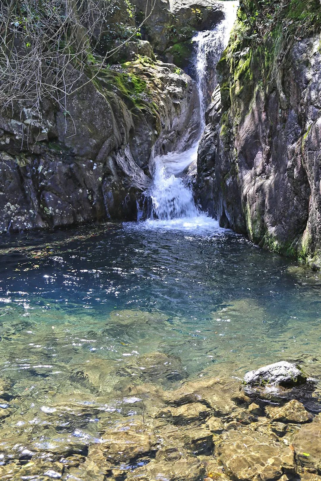 宁波避暑耍水胜地,宁波森林氧吧景区