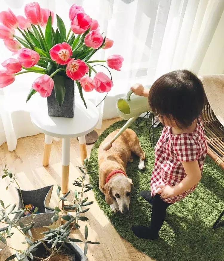 雨神萧敬腾的台北豪宅,雨神萧敬腾最近在成都哪