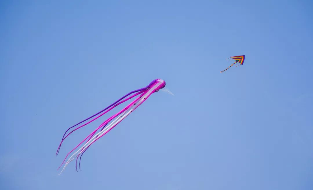 12月份上海周边好去处,上海年轻人周末玩乐好去处