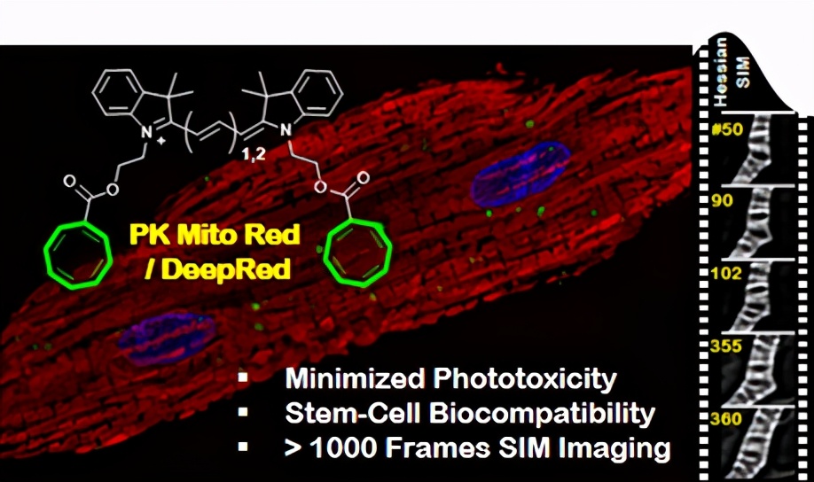 18项国家自然科学基金优秀成果在京对接