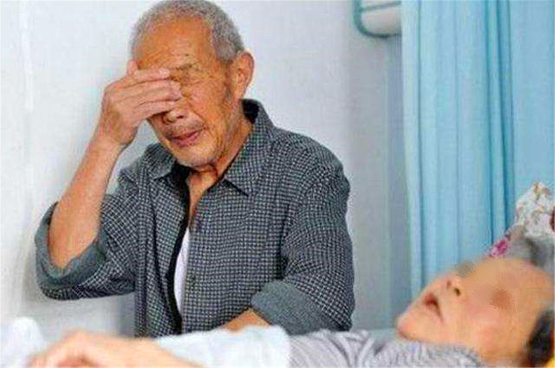 国外丁克晚年的真实感受,丁克生活的真实感受