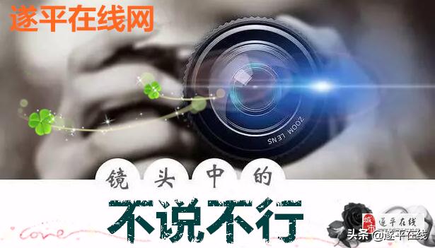 遂平阳光天地,遂平阳光天地小区