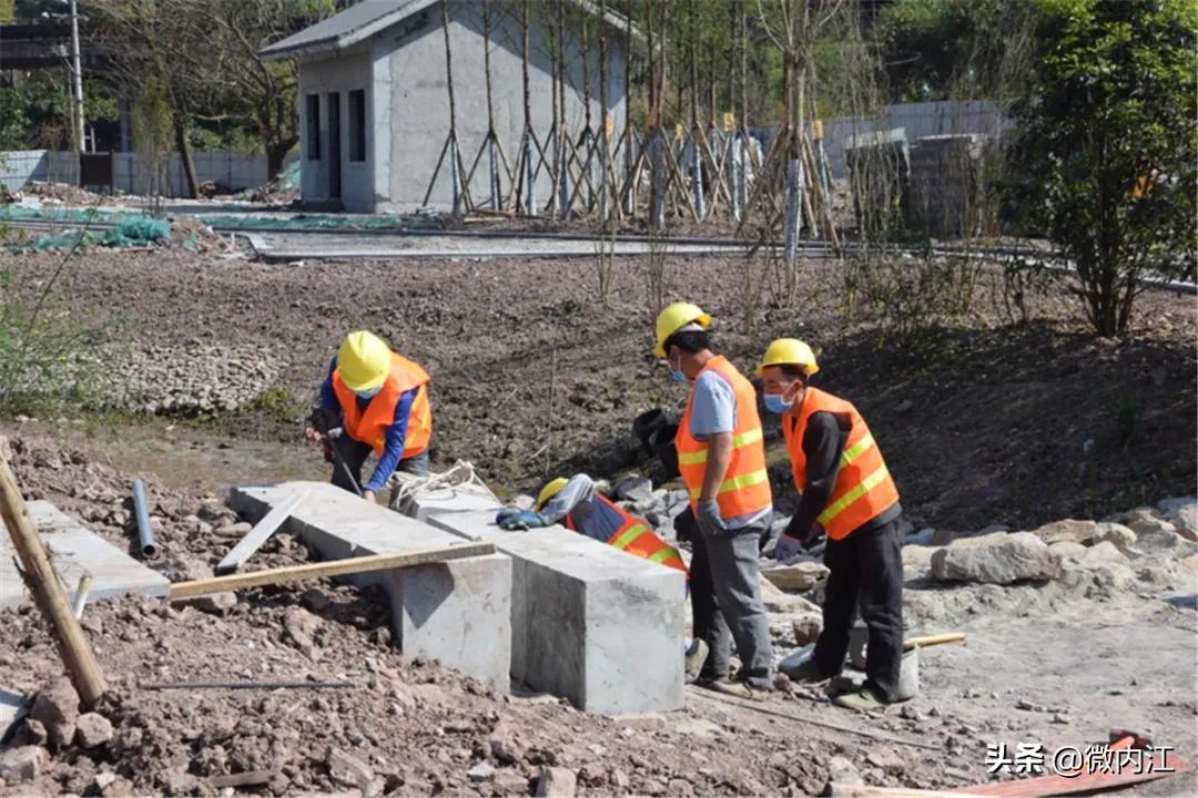 见证奇迹会发现什么,见证奇迹最新