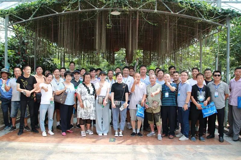 无土栽培和土壤种植技术研究所,农业无土栽培技术培训