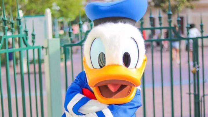 复读怎样挂学籍,河北艺术生复读条件