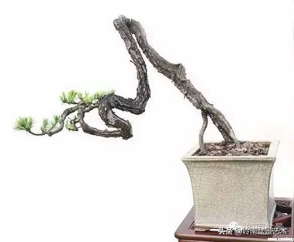 鎮礀缁濆閫㈢敓,鎮礀鐩嗘櫙澶у叏