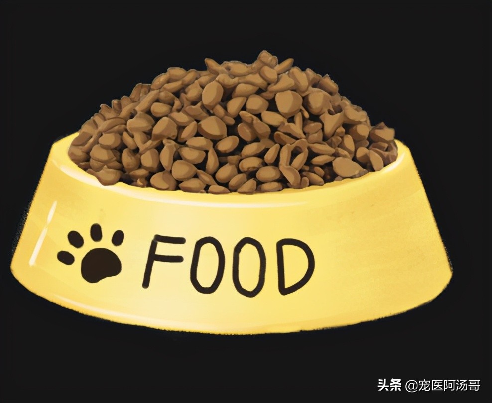 猫咪能吃饼干吗,猫咪能吃蛋糕和奶油吗