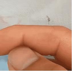 客服外包的哪些坑,为什么客服态度那么好