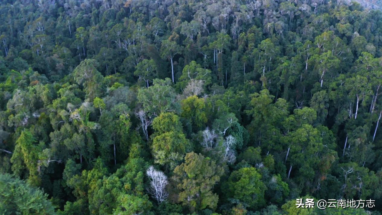 缇庡搲浜戝崡鍏ㄩ儴瑙嗛,缇庡搲浜戝崡鍓х収