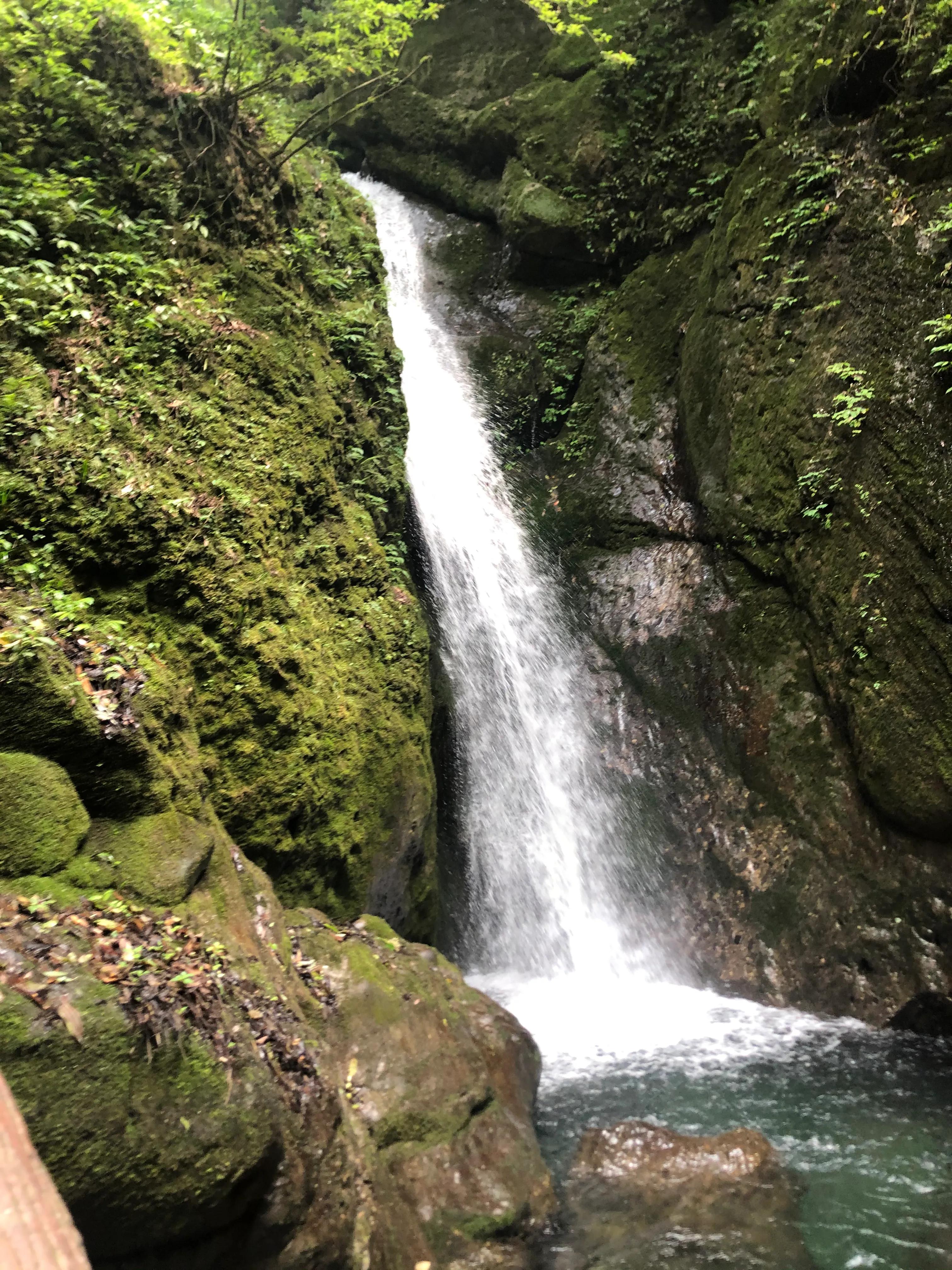 青城山后山一日游耍水攻略,青城山后山最值得去的地方
